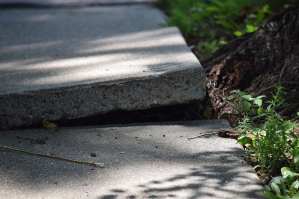 Cost of Sidewalk Leveling in Fort Myers
