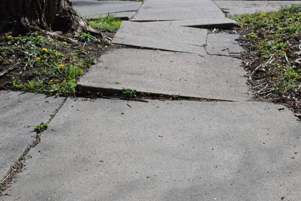 Cost of Concrete Sidewalk Leveling in Fort Myers