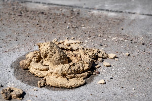 Cost of Driveway Slab Leveling in Fort Myers
